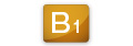 B1 type