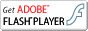 FlashPlayer�_�E�����[�h