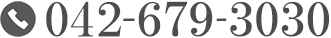 042-679-3030