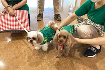 犬とのふれあい（写真）