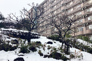 雪景色（写真）