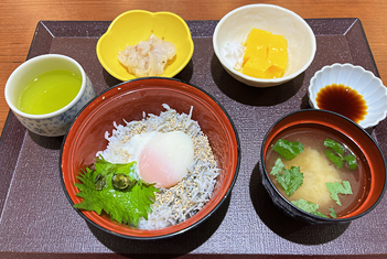 昼食「しらす丼～新茶の振る舞い～」（写真）