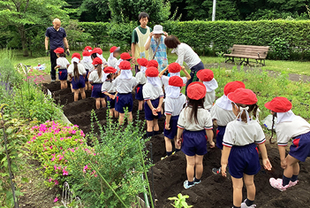 菜園に幼稚園児がやってきました（写真）