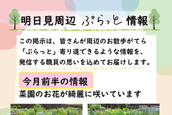 明日見周辺ぷらっと情報（写真）