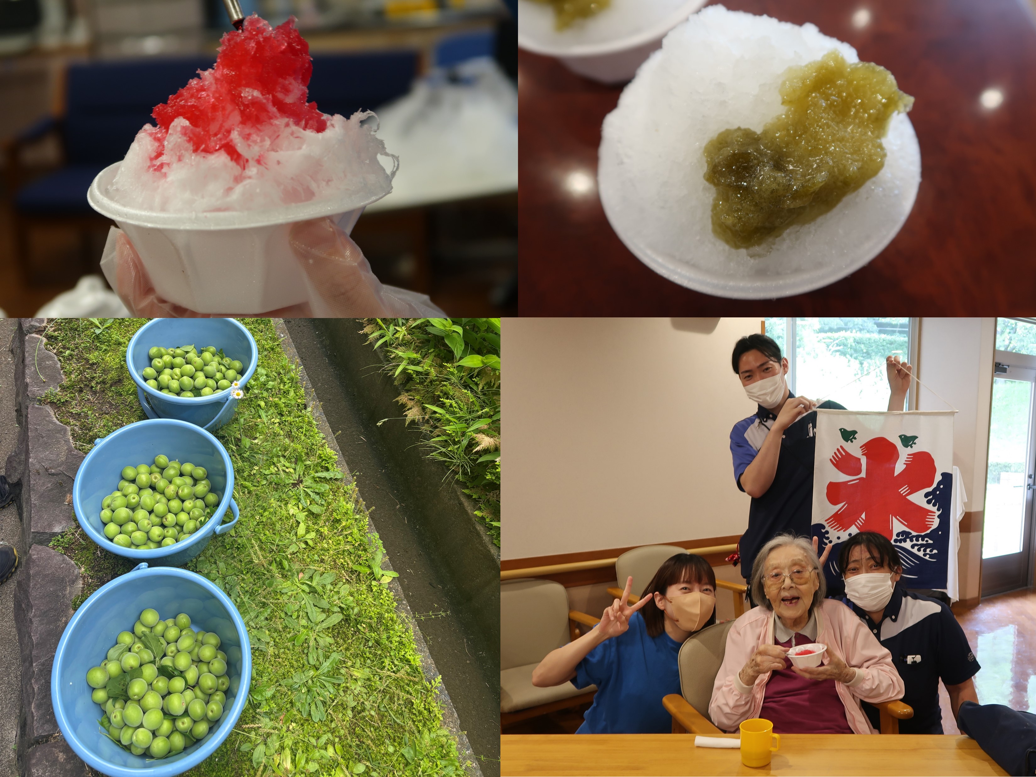 涼を味わうかき氷の写真
