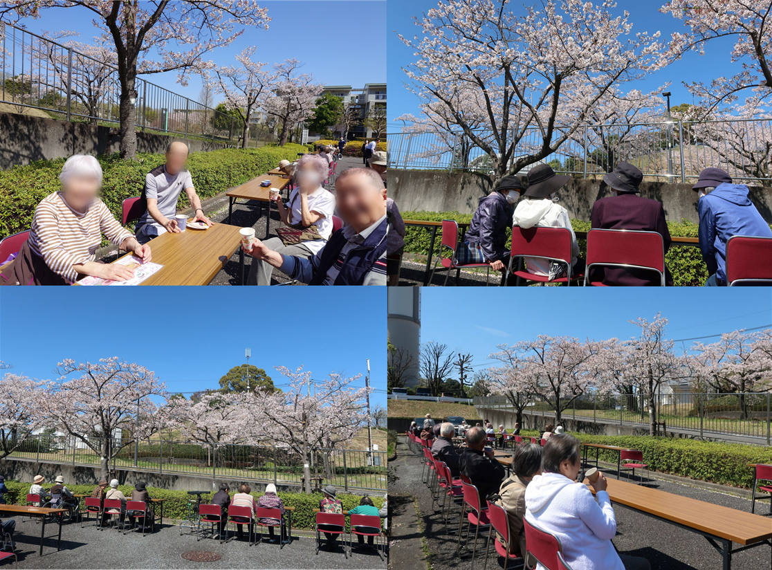 お花見会の写真