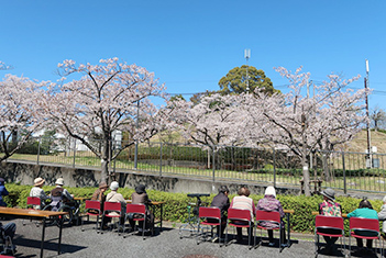 お花見会（写真）