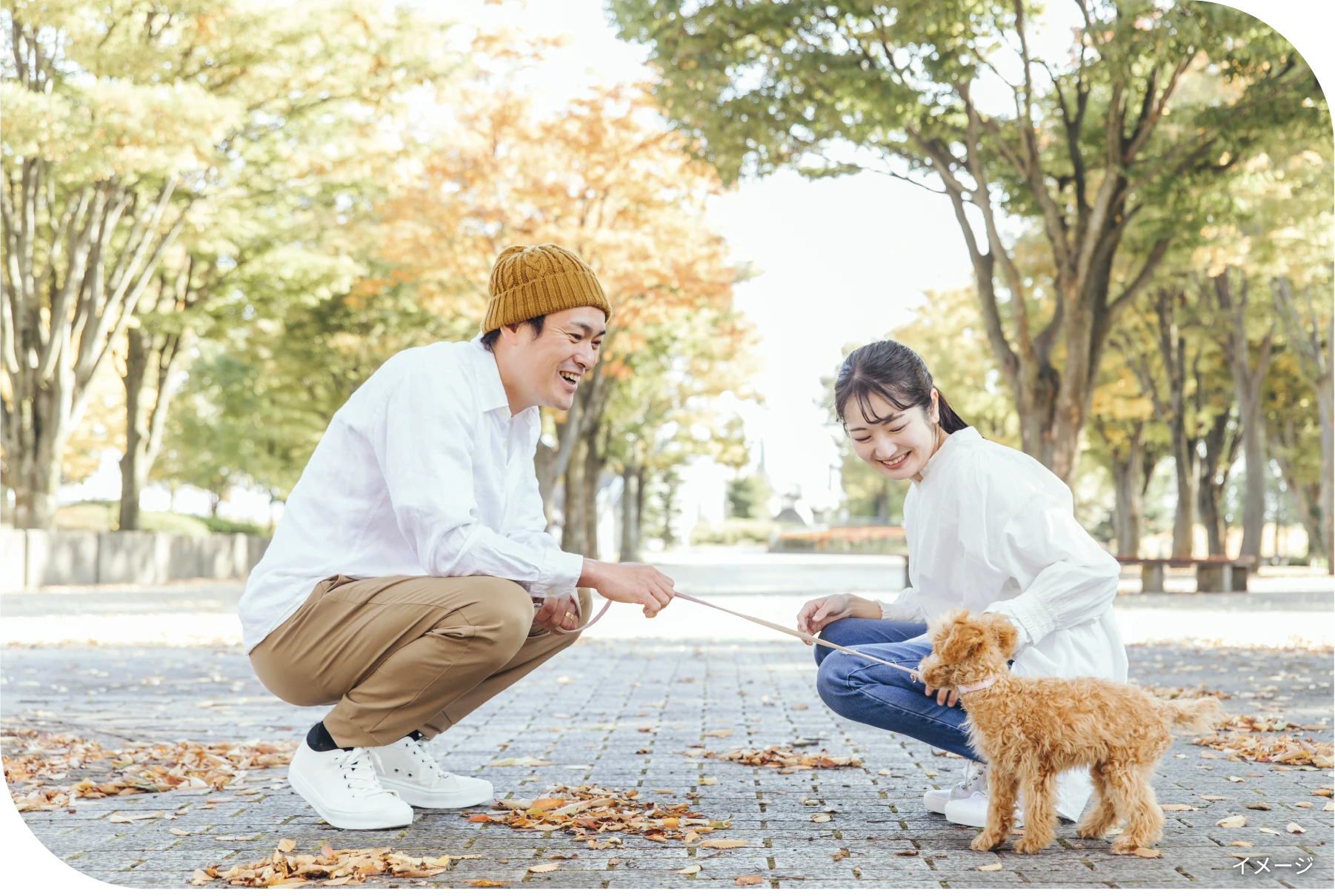 ペットが会話のきっかけになったり、自然なふれあいや癒しが生まれる
