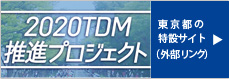 2020TDM���i�v���W�F�N�g�B�ڂ����͂�����(�O�������N)