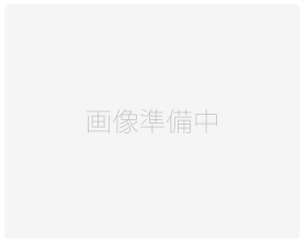 コーシャハイム仲六郷駐車場の画像