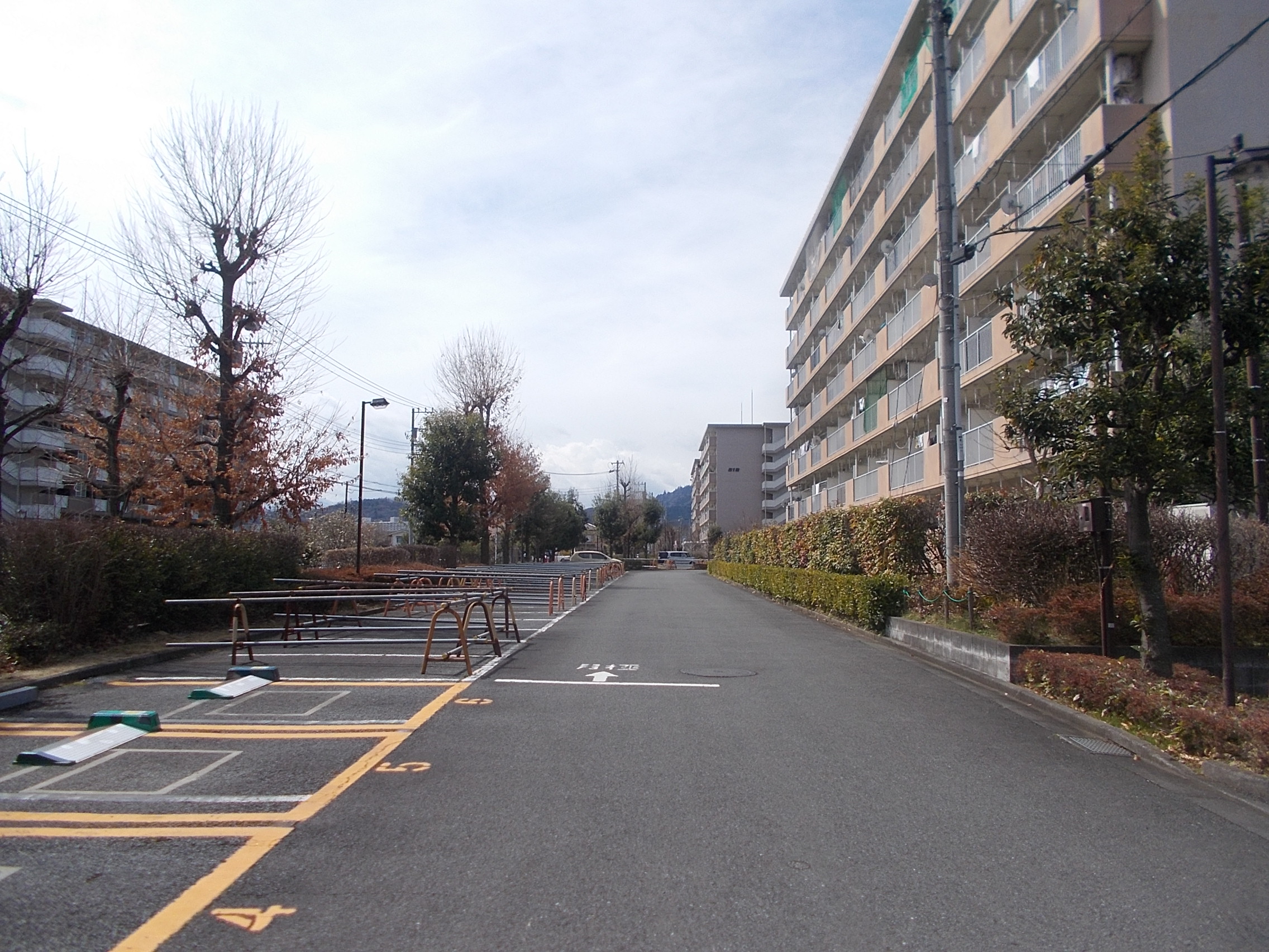 長房③