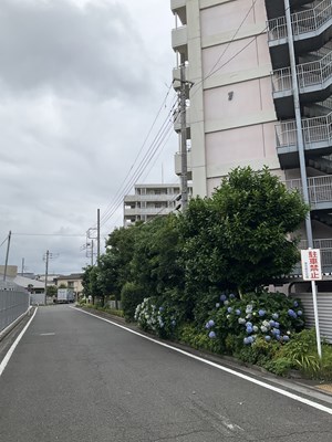 都営羽衣町一丁目第2アパート【電気自動車対応】駐車場の画像