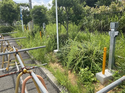 長房写真③