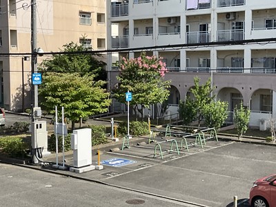 南大谷写真②
