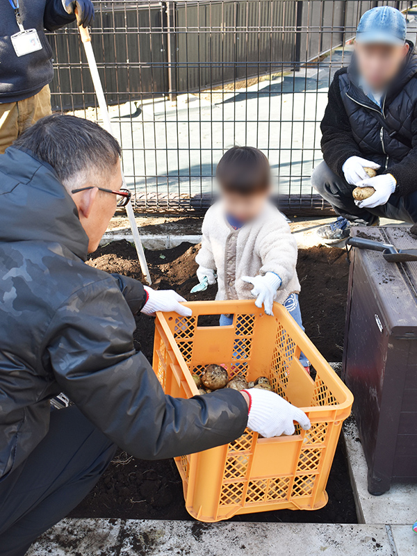 じゃがいも堀りの様子⑥
