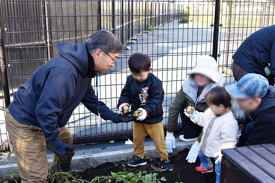 じゃがいも堀りの様子③