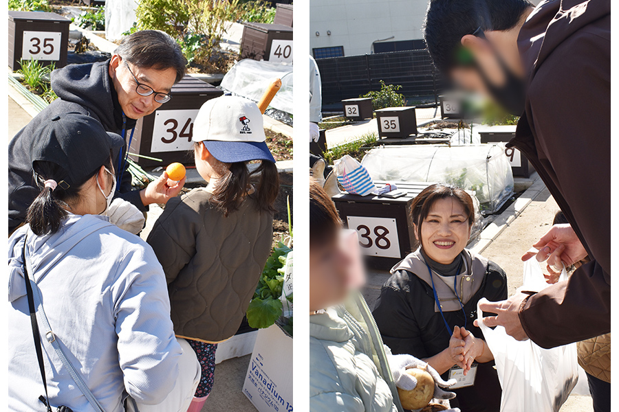 じゃがいも堀りの様子⑩