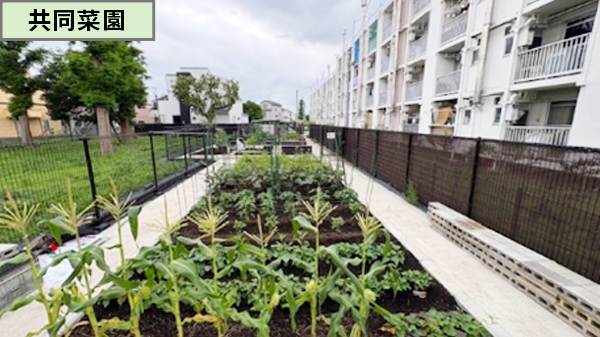 「興野町住宅」コミュニティガーデン⑤