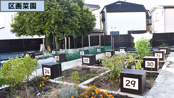 「興野町住宅」コミュニティガーデン⑥