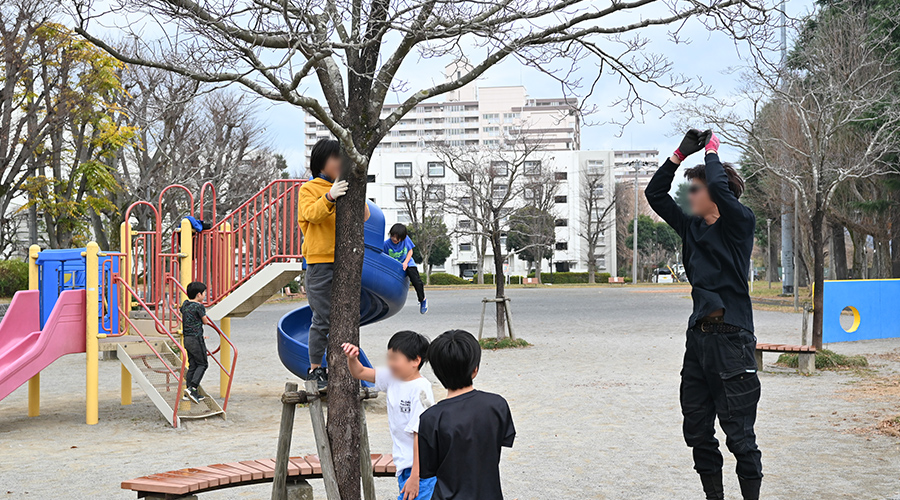 木登りの写真