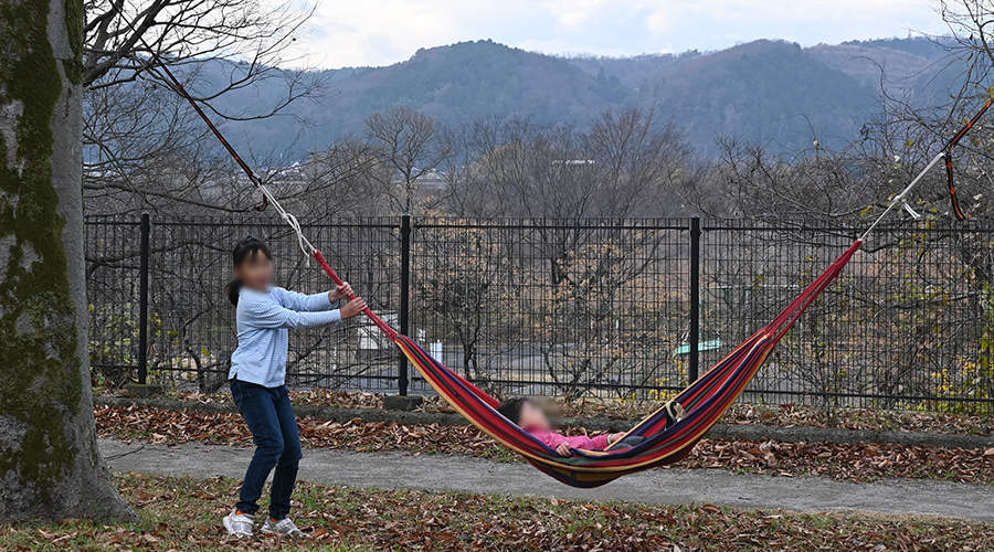 木の間に吊るされたハンモックの写真