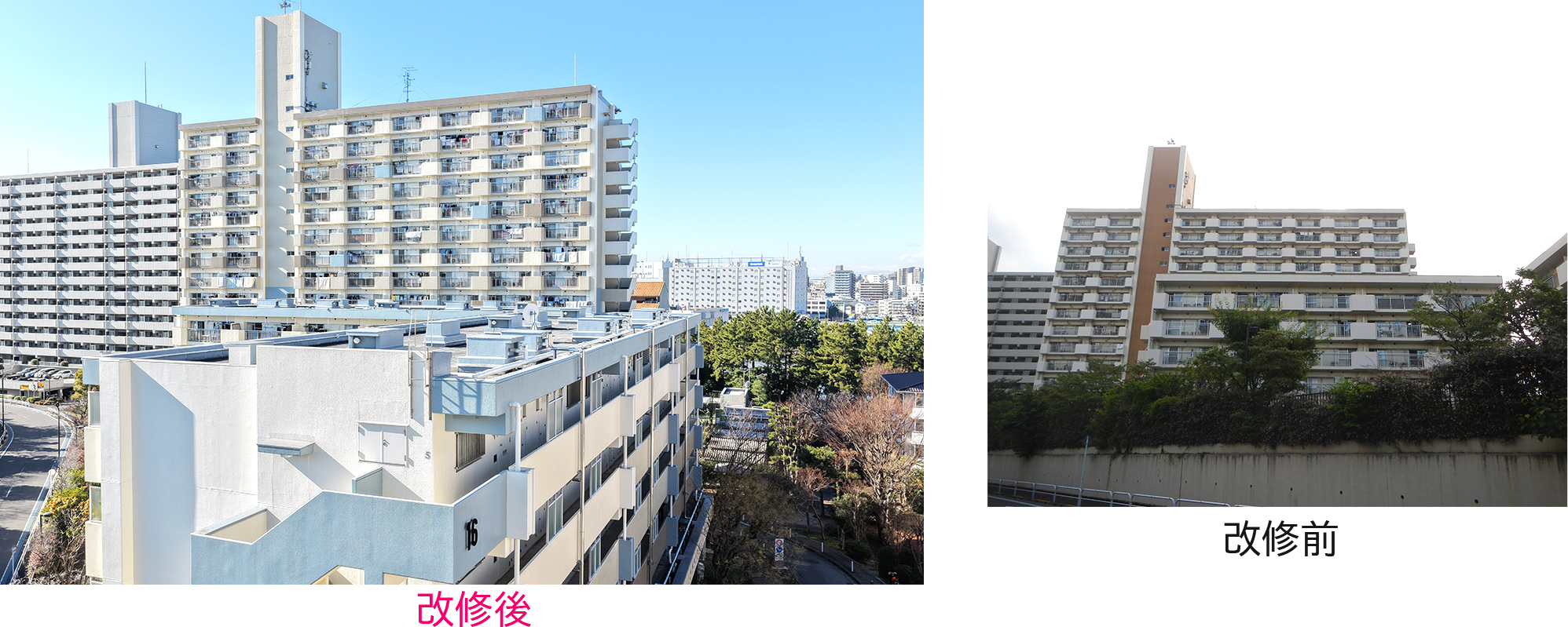 コーシャハイム八潮西(16号棟：写真手前の中層・17号棟：写真奥の高層)の改修前と改修後の写真
