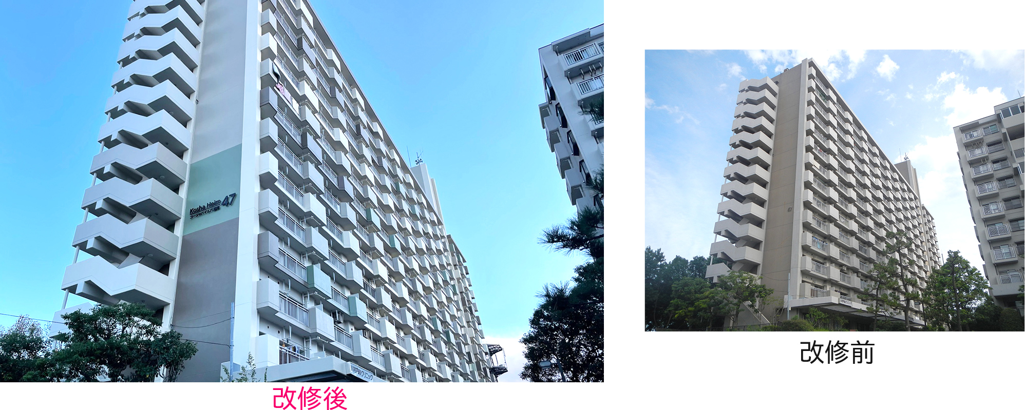 コーシャハイム八潮南の改修前と改修後の写真