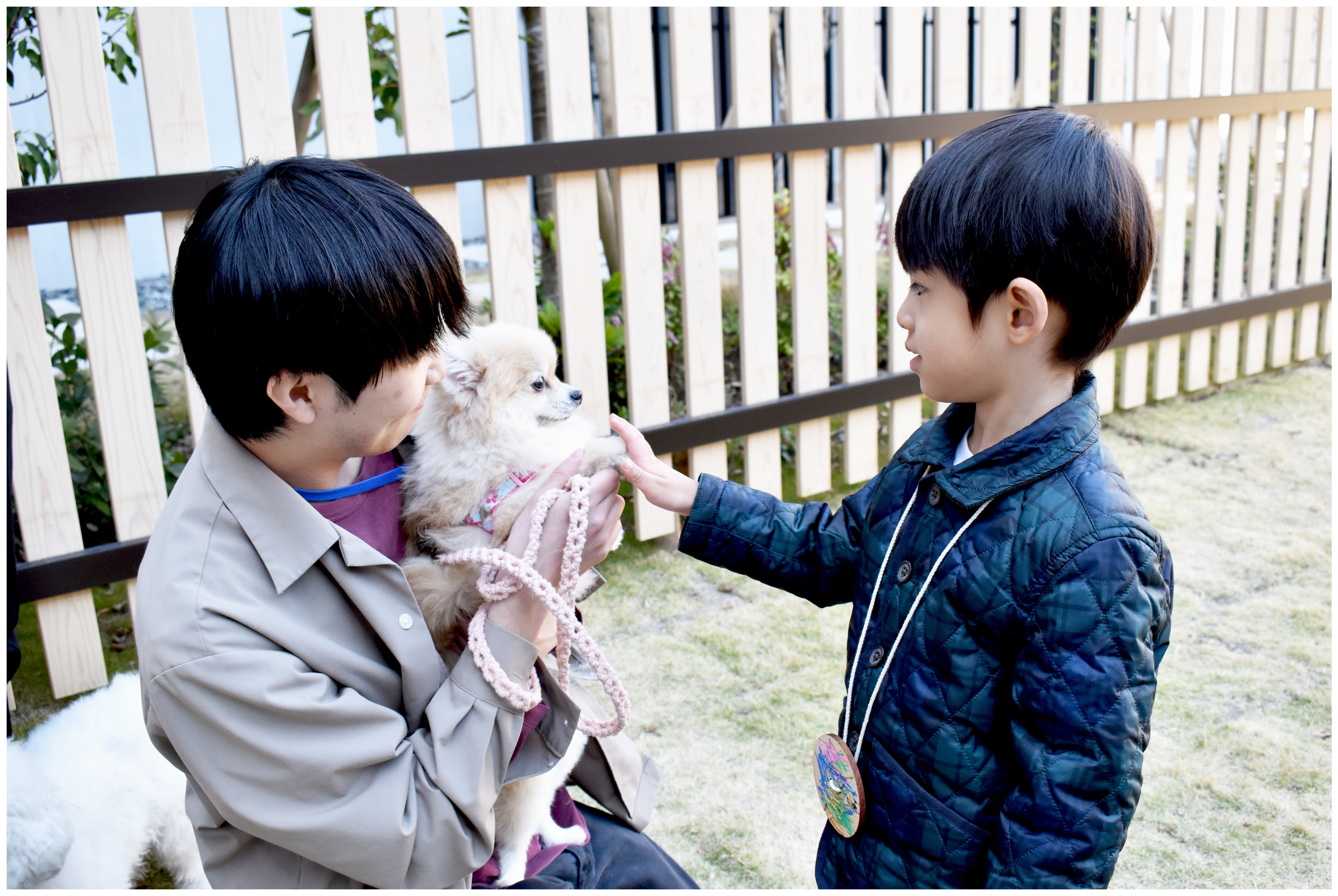 ペットふれあいコーナーの写真2