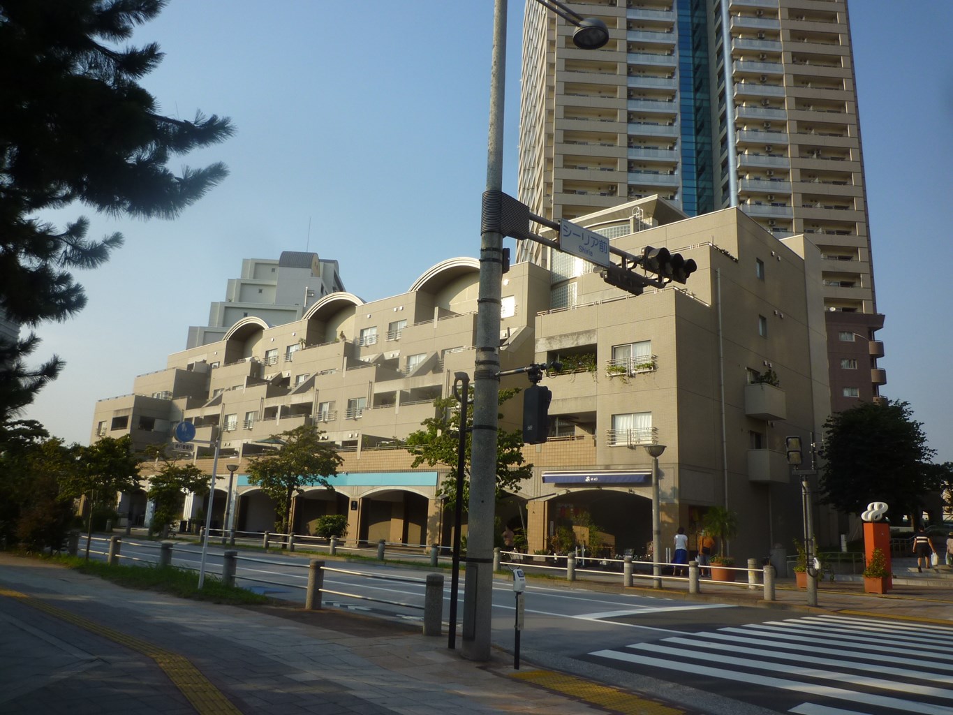 トミンハイム台場三番街店舗 3-103号室の画像