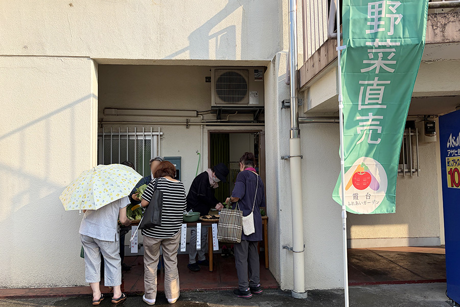 団地の中で採れた夏野菜の販売写真①