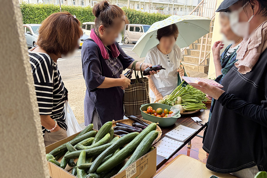 団地の中で採れた夏野菜の販売写真②