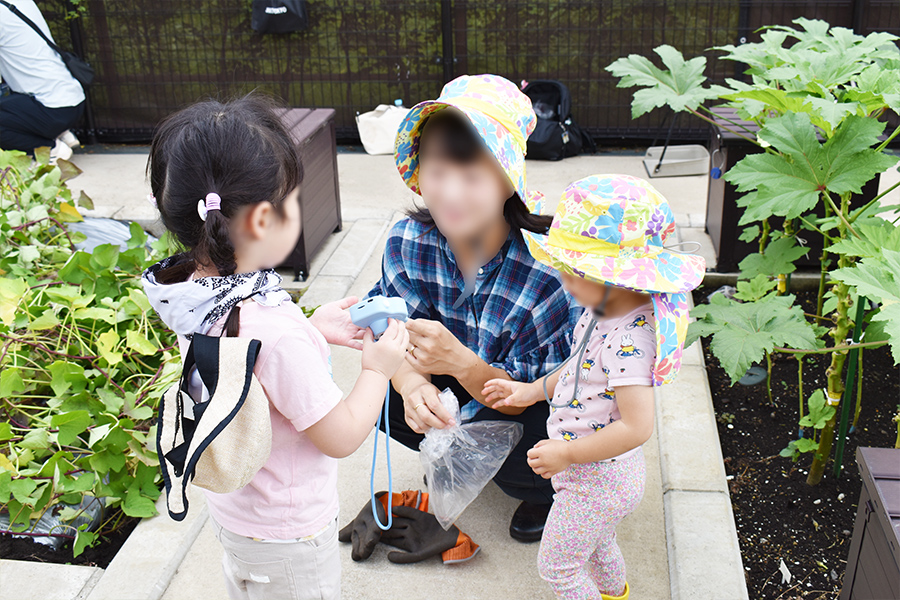 さつまいも栽培 写真⑤