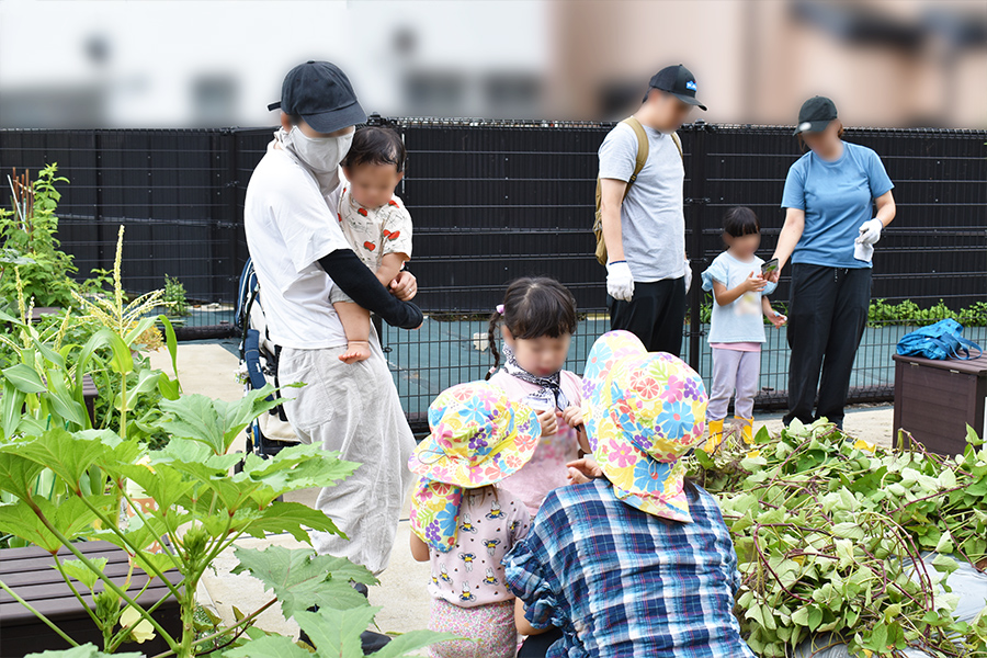 さつまいも栽培 写真⑥